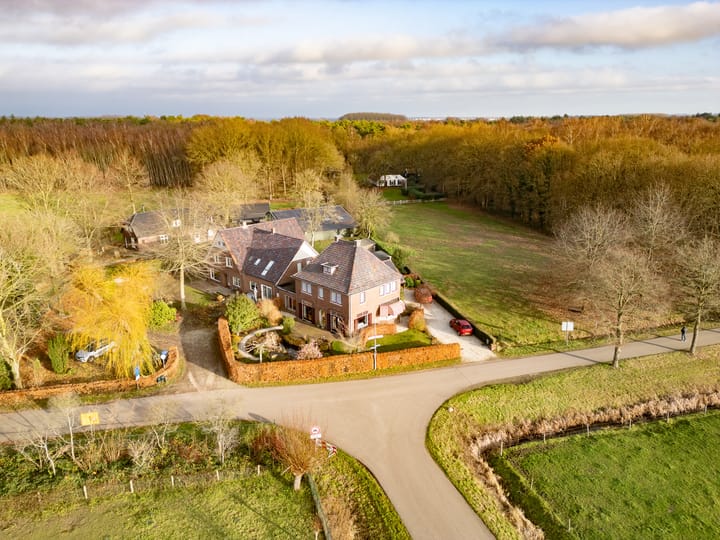 Foto 2 van Dassenloop 13