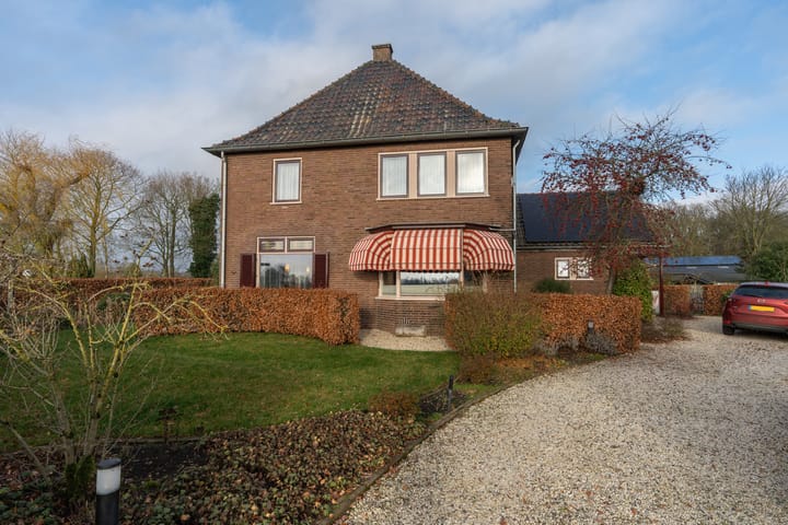 Foto 4 van Dassenloop 13