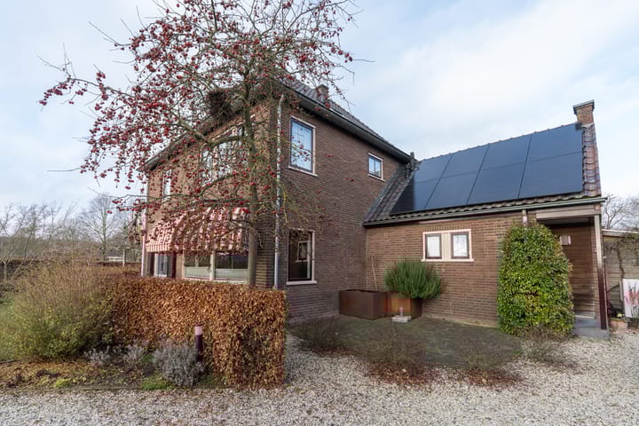 Foto 5 van Dassenloop 13