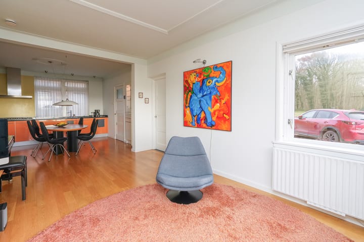 Foto 12 van Dassenloop 13