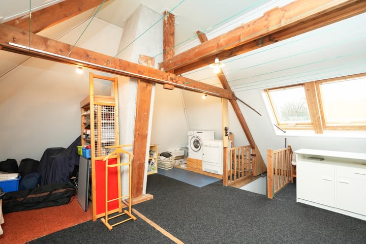 Foto 40 van Dassenloop 13