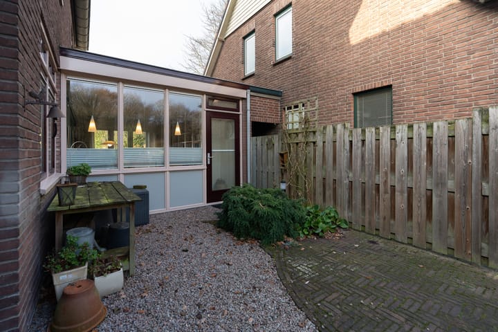 Foto 48 van Dassenloop 13