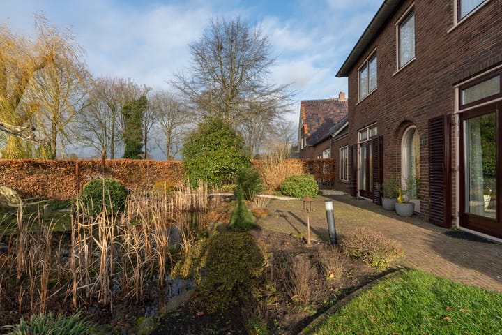 Foto 49 van Dassenloop 13