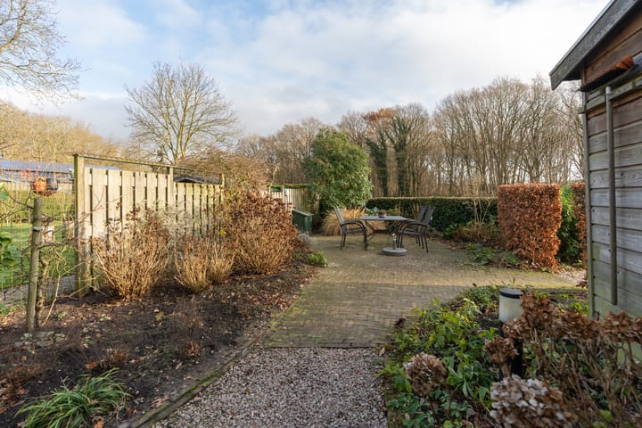 Foto 50 van Dassenloop 13