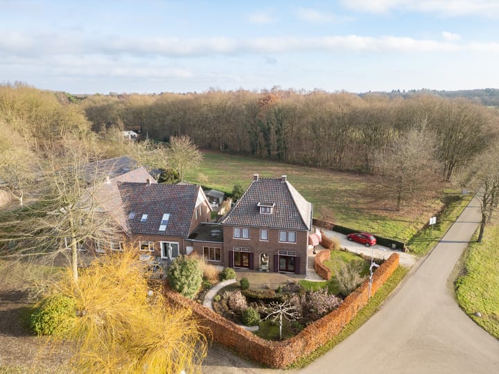 Foto 52 van Dassenloop 13