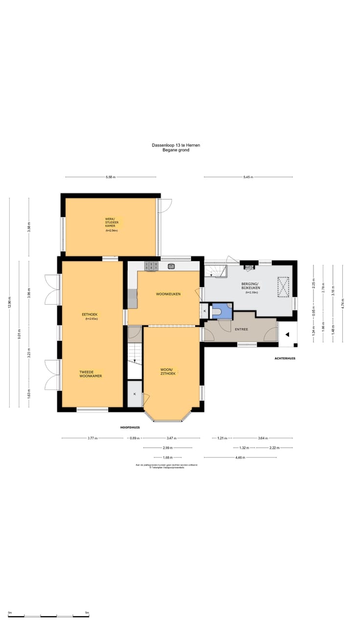 Foto 53 van Dassenloop 13