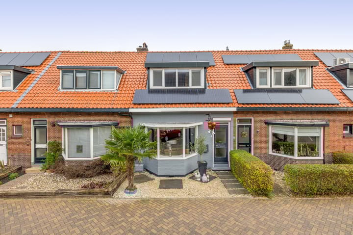 Bonfut 17 main image