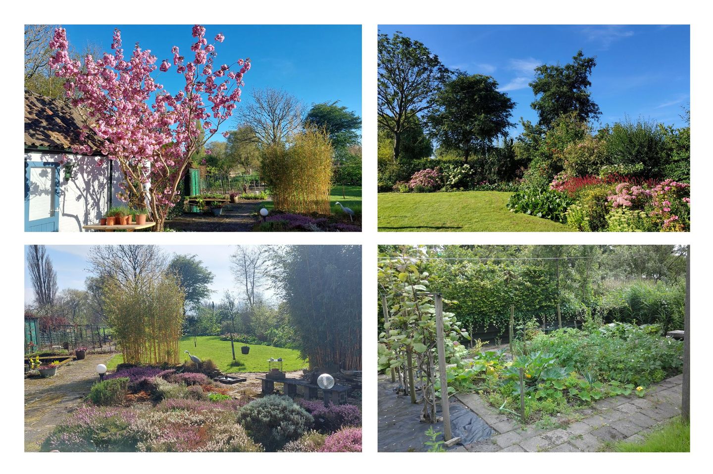 Foto 50 van Dijkweg 181