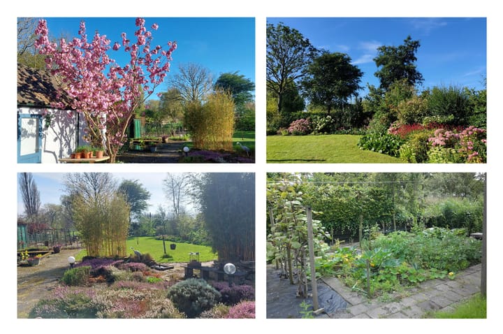 Foto 50 van Dijkweg 181