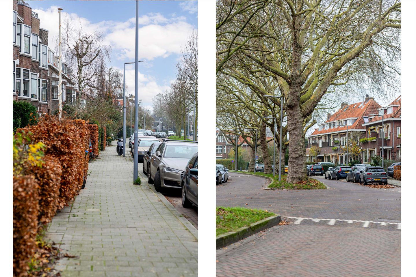 Photo 65 of Berglustlaan 56-A