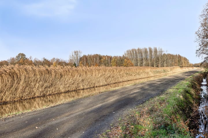 Foto 34 van Middenstip 10