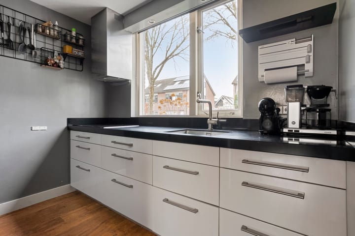 Photo 3 of Hoornblad 63