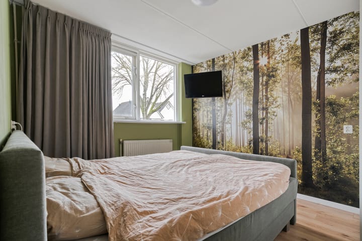 Foto 20 van Hoornblad 63