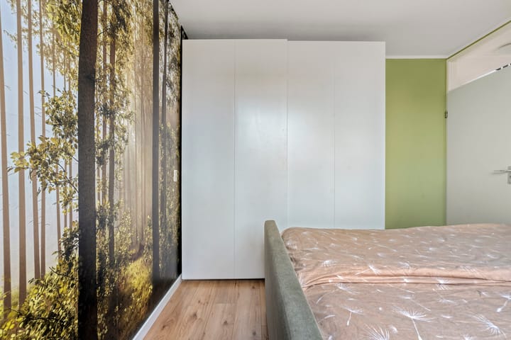 Foto 21 van Hoornblad 63