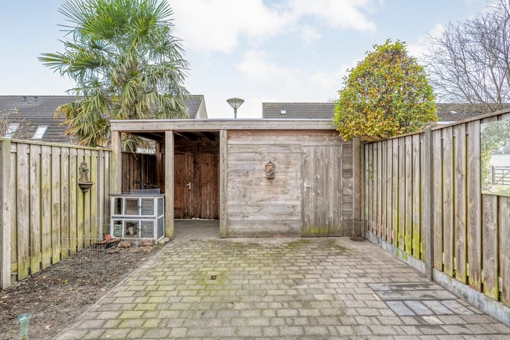 Foto 38 van Hoornblad 63