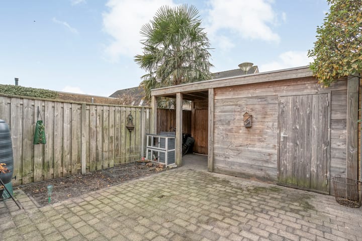 Foto 39 van Hoornblad 63