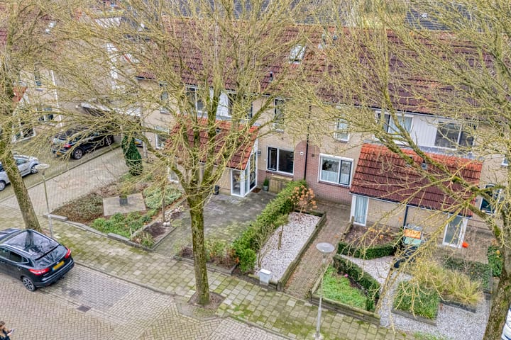 Foto 42 van Hoornblad 63