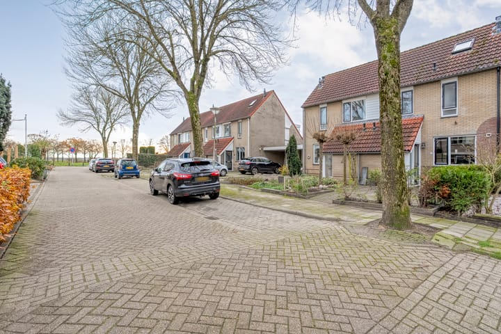 Foto 43 van Hoornblad 63