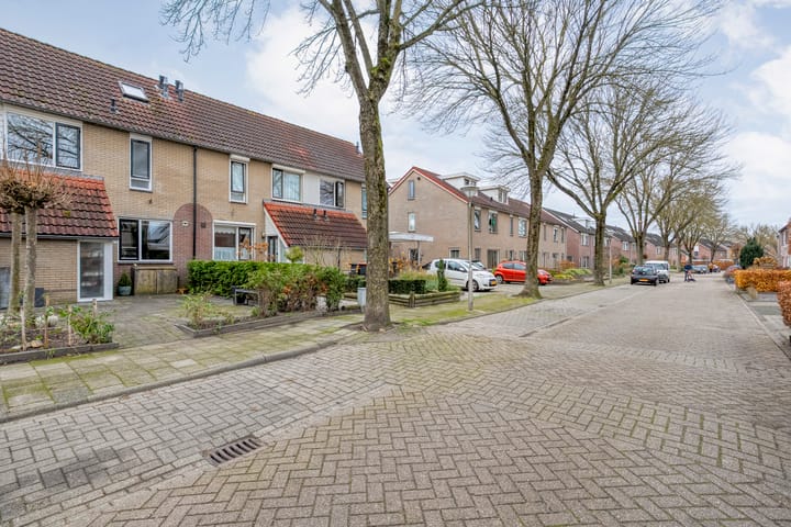 Foto 44 van Hoornblad 63