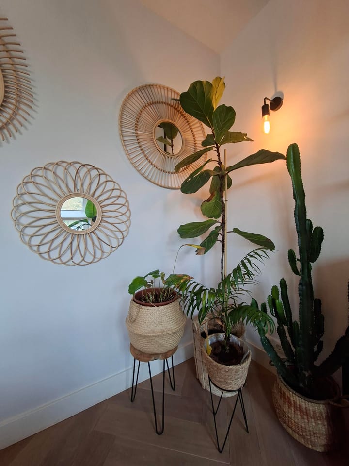 Foto 7 van Johan van Oldenbarneveltlaan 10