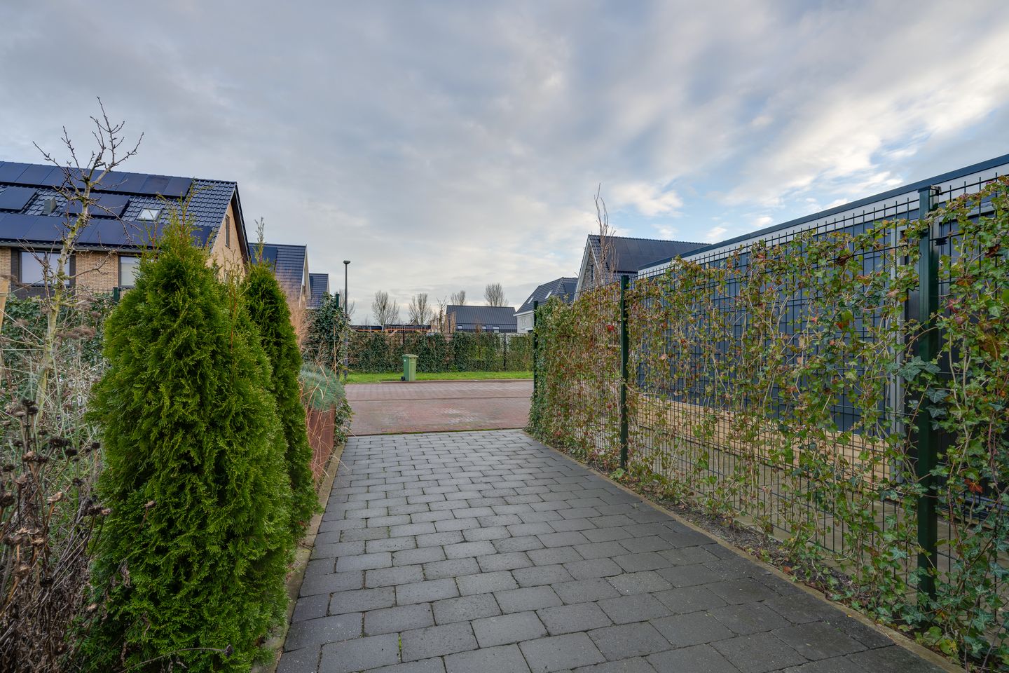 Photo 49 of Witrikstraat 8