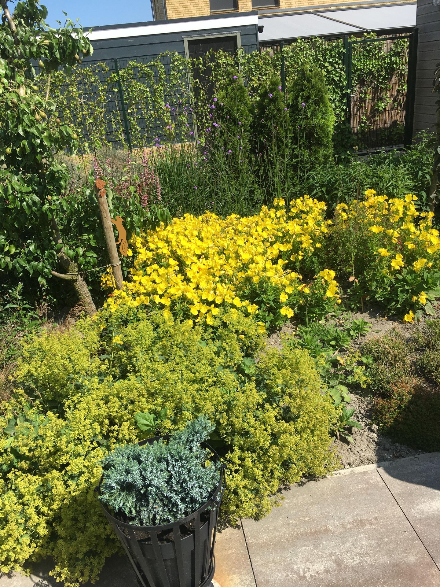 Foto 64 van Witrikstraat 8