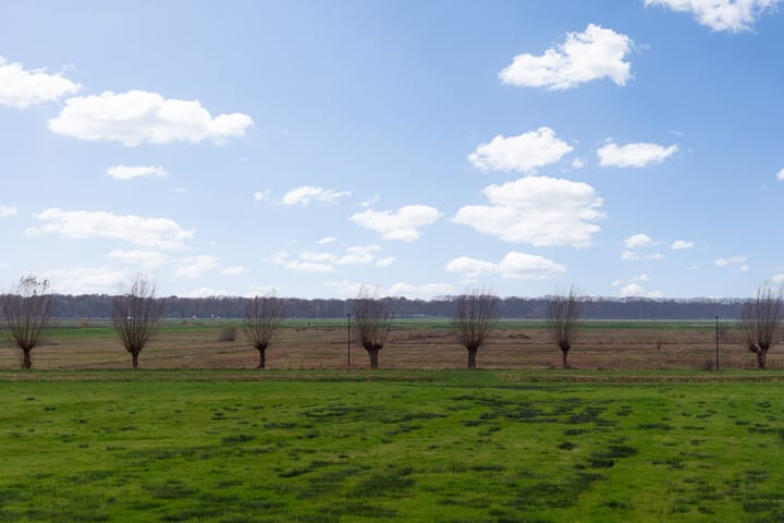 Foto 48 van Willemspoort 123