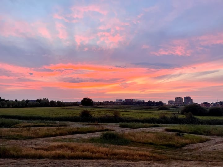 Foto 49 van Willemspoort 123