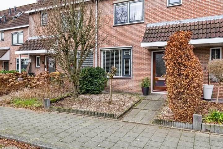 Photo 5 of Goudvink 109