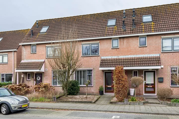 Photo 33 of Goudvink 109