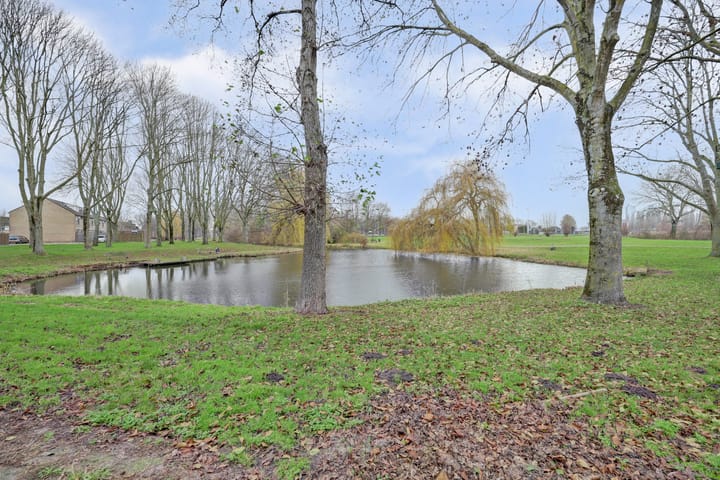 Foto 31 van Baarsveen 579