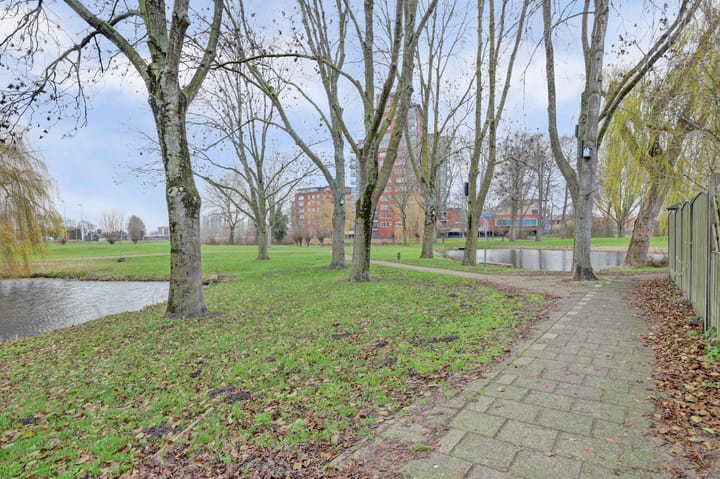 Foto 32 van Baarsveen 579