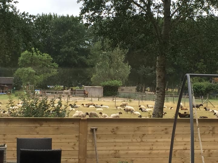 Photo 23 of Terpmeent 5