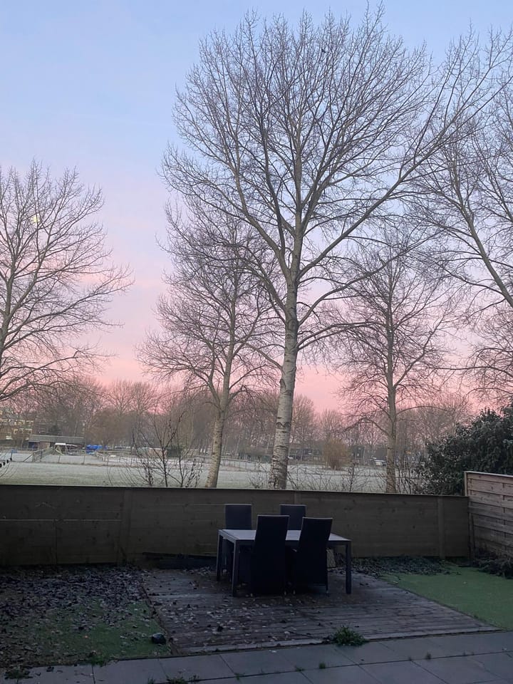 Photo 25 of Terpmeent 5