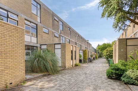 Krokusstraat thumbnail