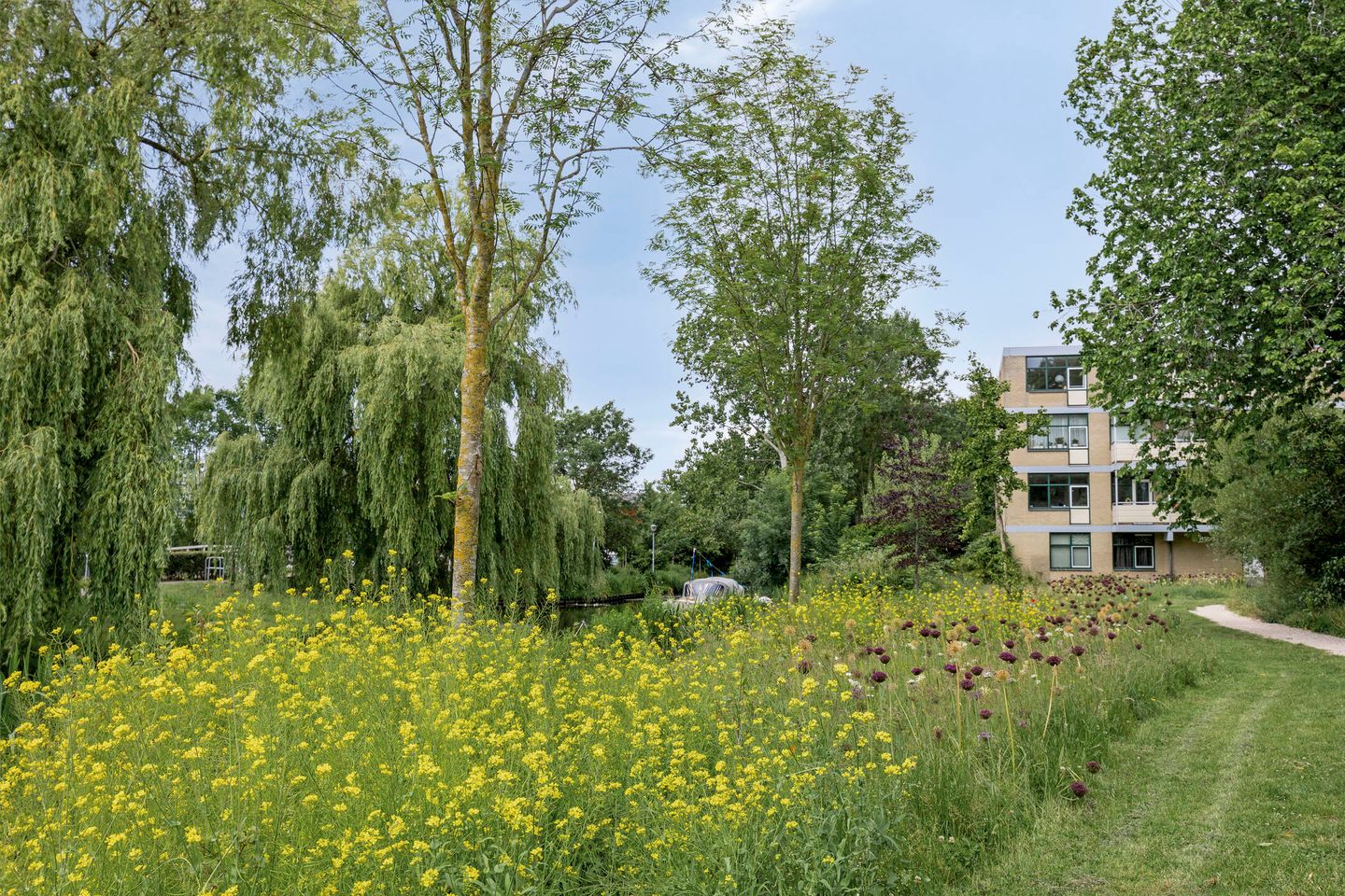 Foto 29 van Krokusstraat 3