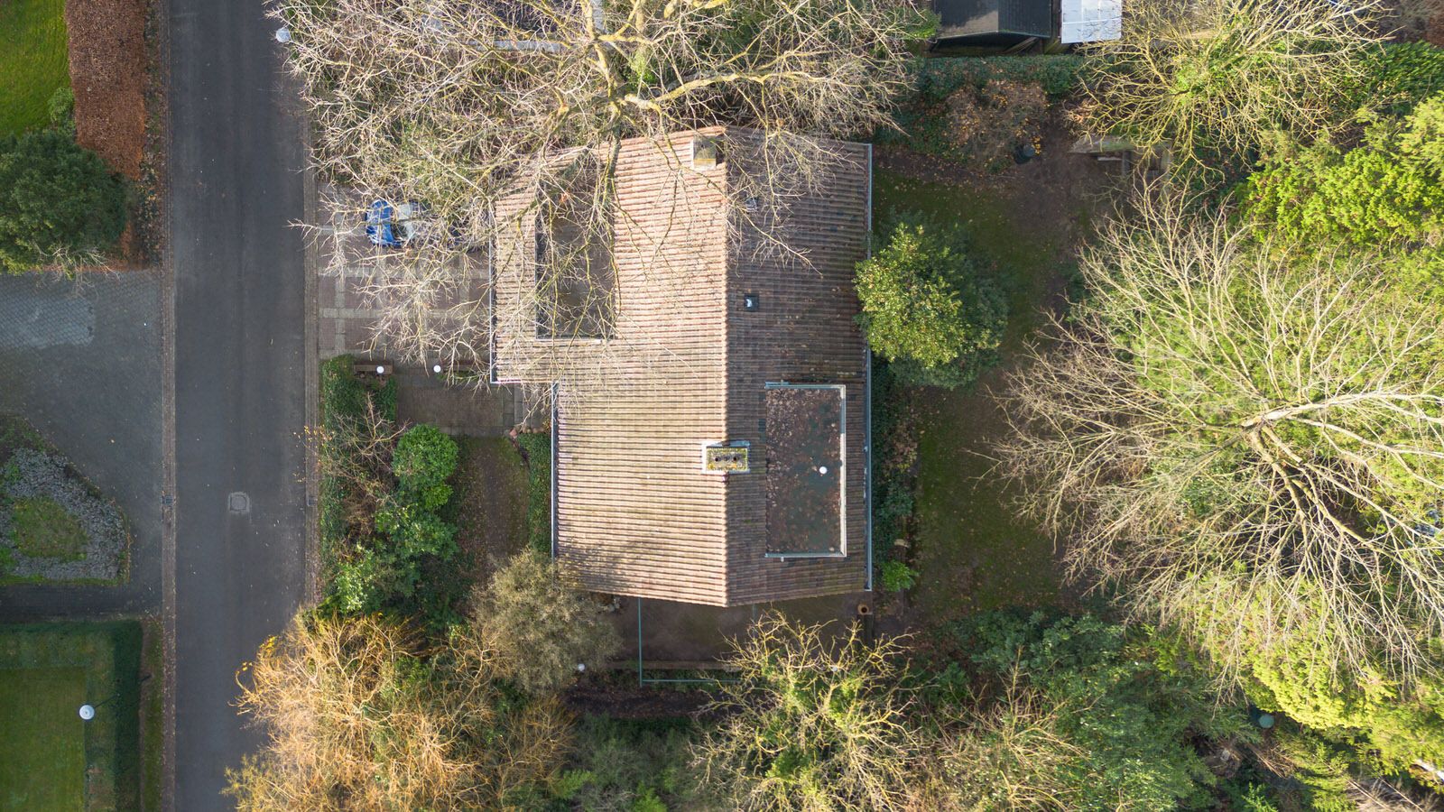 Foto 33 van Beukenlaan 6