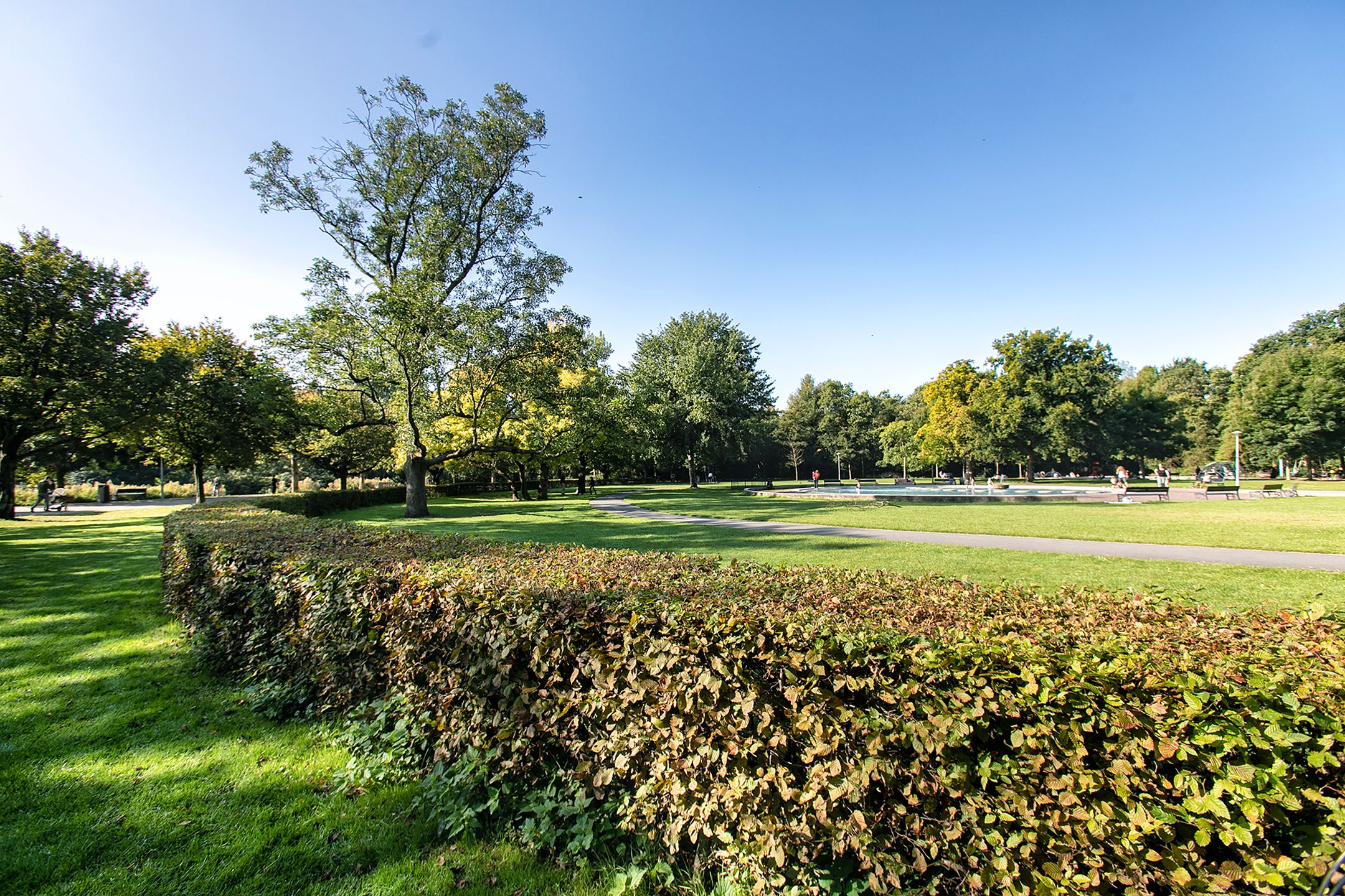 Foto 48 van Oranje Nassaulaan 41