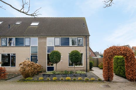 undefined main image