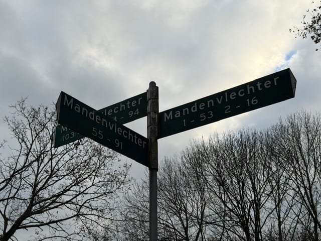 Foto 2 van Mandenvlechter 91