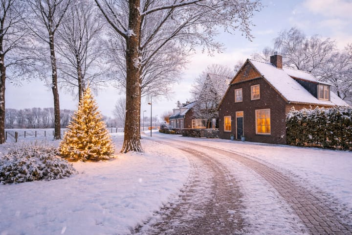 Bokhovense Maasdijk 4