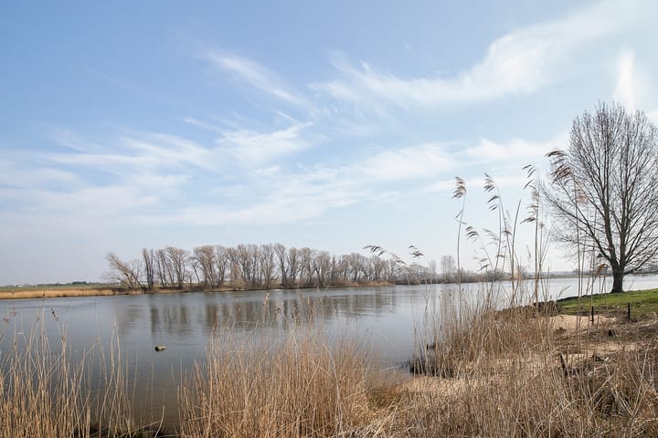 Foto 74 van Bokhovense Maasdijk 4