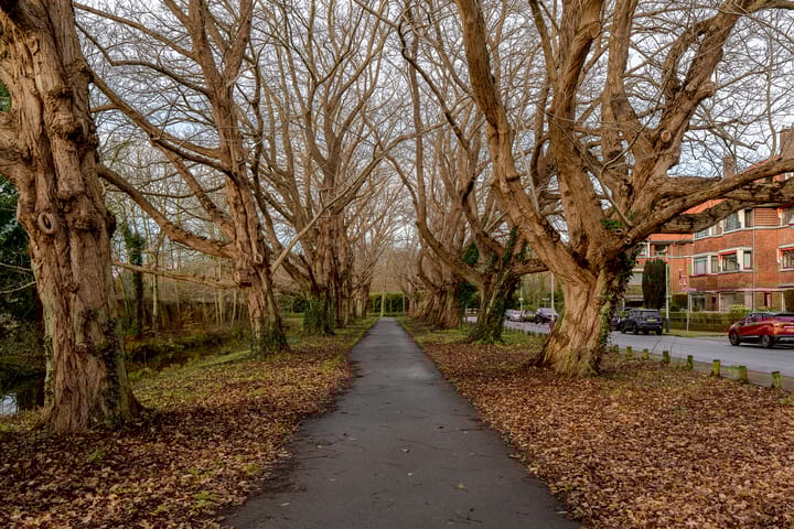 Foto 25 van Offenberglaan 1-25A