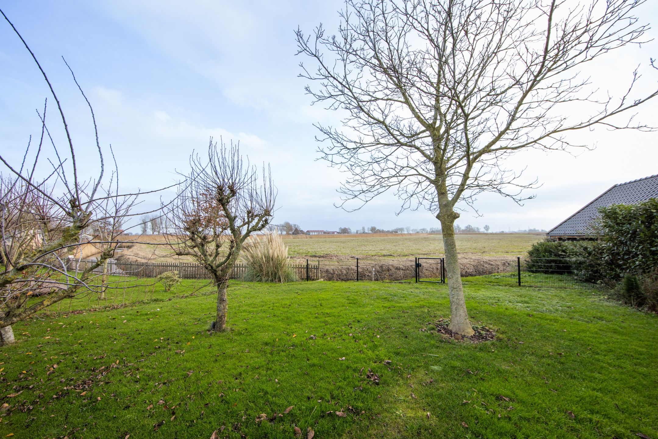 Foto 21 van It Ferset 37