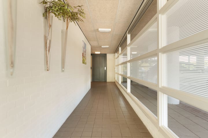 Foto 6 van Frederik Hendrikhof 33