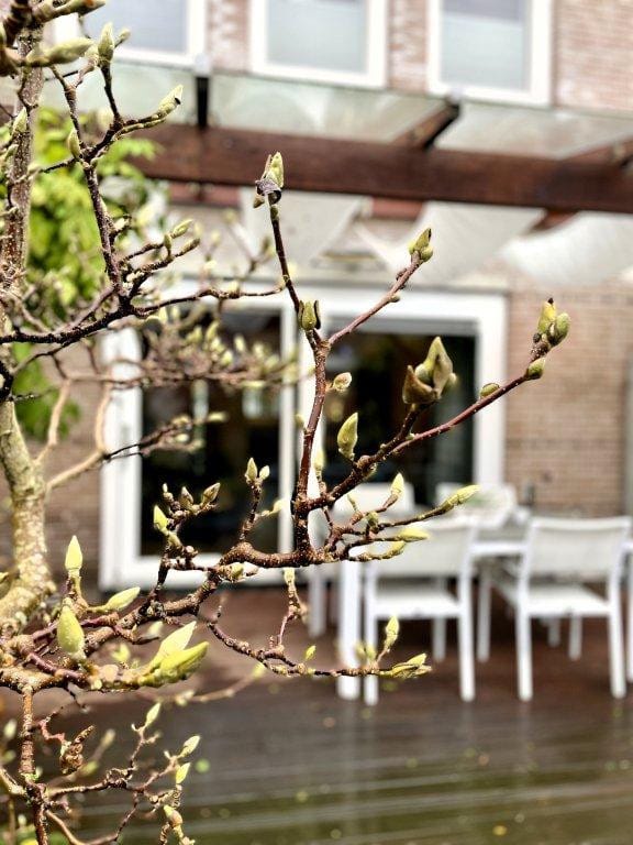 Photo 15 of Dotterbloem 2