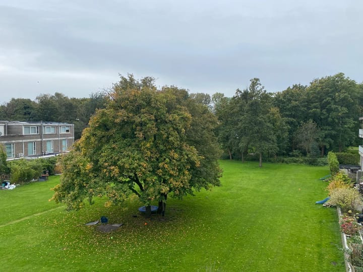 Foto 8 van Bernard Loderstraat 157