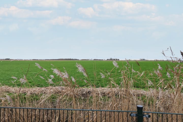 Photo 53 of Leane 5-A