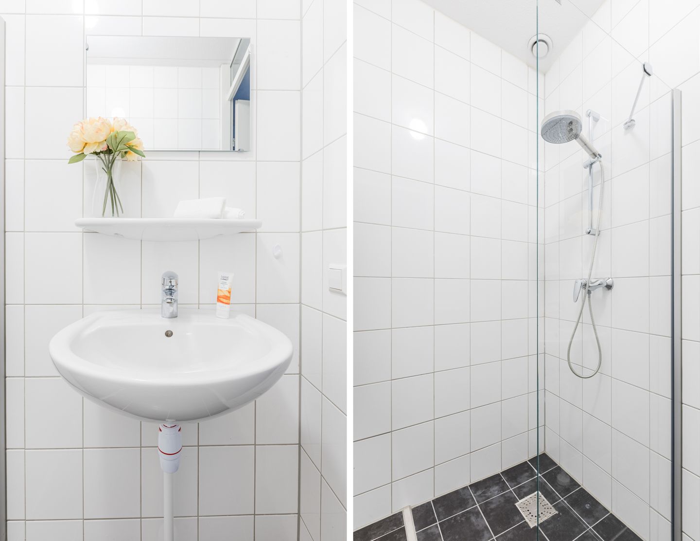 Photo 19 of Zalm 192