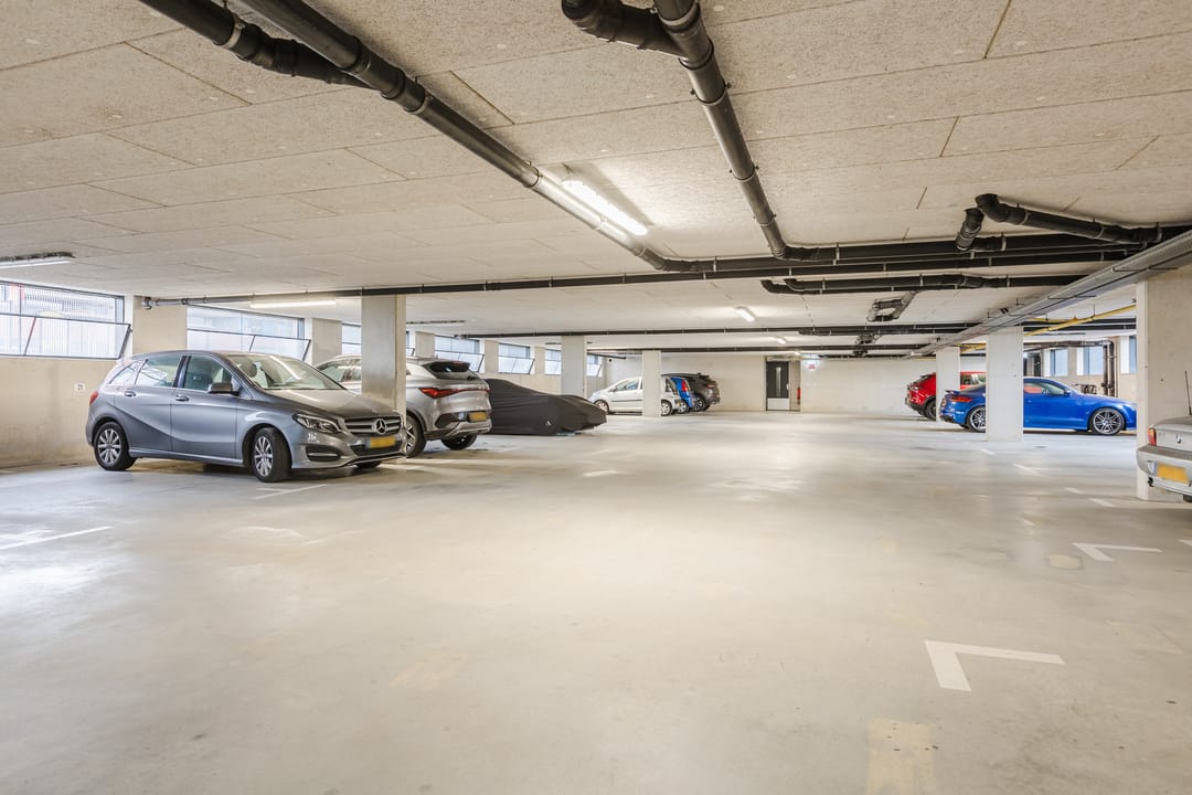 Photo 43 of Zalm 192